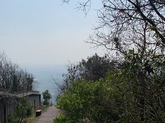 -宁波市保国寺古建筑博物馆