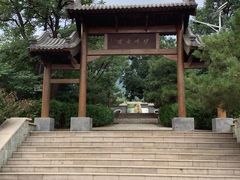 -阳台山自然风景区