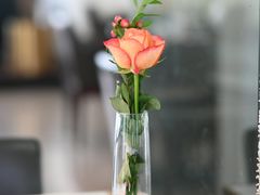 -IL Forno 意坊·意大利餐厅(花园店)