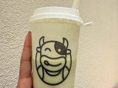 -乍甸乳业鲜奶吧(红河水乡店)