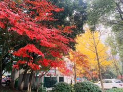 -两江幸福广场