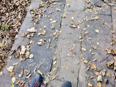 -野三坡百草畔景区