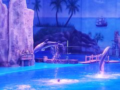 -华夏文旅海洋公园