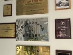 -北京观赏动物医院·24小时大型综合·猫专科·异宠专科