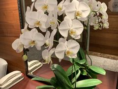 -新加坡万豪董厦酒店