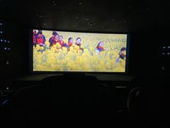 -深影国际影城(学院南路店CGS中国巨幕店)
