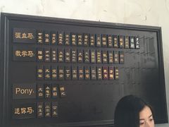 -松声马术俱乐部