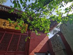 -洛阳白马寺