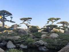 -罗红摄影艺术馆