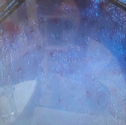 -梵茜儿·头道汤养生馆