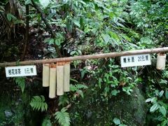 android_upload_pic-石台牯牛降景区