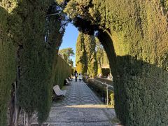 -阿尔罕布拉宫