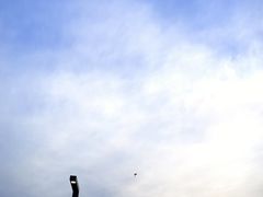 -上海滨江森林公园