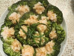 -葱妈母婴医护月嫂中心(浦东店)
