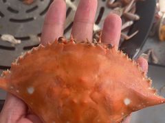 -仙螺岛海鲜自助餐厅(总店)