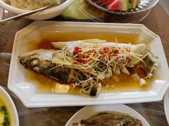 -明珠湖天鹅苑·农家菜馆