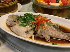 -老广酒楼(樱花店)