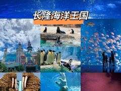 -芒洲湿地公园