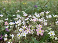 -北京小汤山医院体检中心