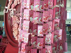 -厦门高崎国际机场-T3航站楼