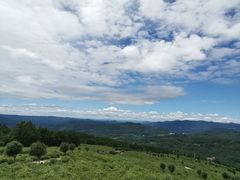 -镇龙山国家森林公园