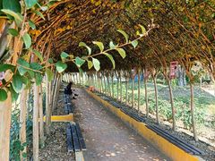 -武汉紫薇都市田园