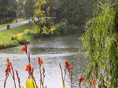 -洋湖国家湿地公园