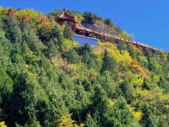 -北京十三陵国家森林公园蟒山景区