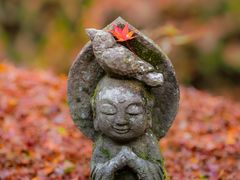 -三千院