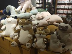 -九木杂物社(恒隆广场店)
