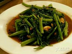 -大中鱼翅 Taitong Shark Fin