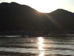 -花岙岛
