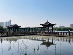 -莲花池公园