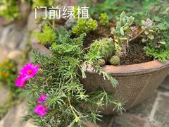 -老字号农家宴