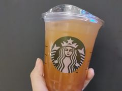 冰摇桃桃乌龙茶-星巴克(浙大紫金港校区店)