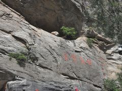 -陕西省红河谷森林公园