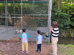 -福建鲤鱼洲酒店