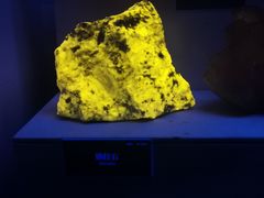 -湖南省地质博物馆