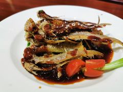 -大秦地·西北菜(纬四路店)