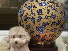 -台北故宫博物院