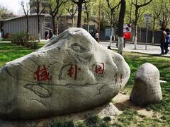 -西北大学(桃园校区)