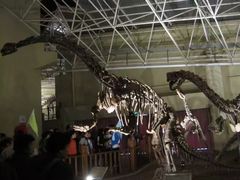 -世界恐龙谷景区