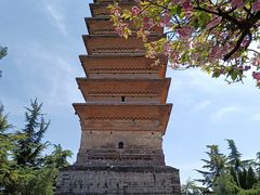 -洛阳白马寺