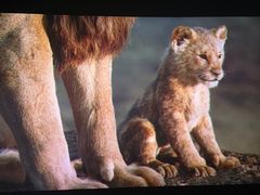 -悦江新远影城IMAX