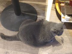-小时光咖啡馆(开森度假森林店)