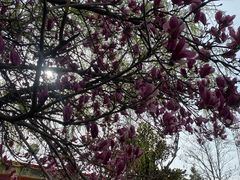 -清凉寺