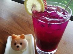 -柴犬高等学院·狗咖·柴犬售卖·宠物训练