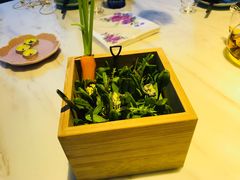 -烛影拾光观景餐厅·创意菜·摄影·小提琴(大唐不夜城店)