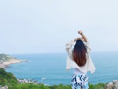 -广东惠东海龟国家级自然保护区