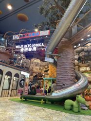 -卡通尼·Safari非洲探索乐园·生日会(金桥国际商业广场店)